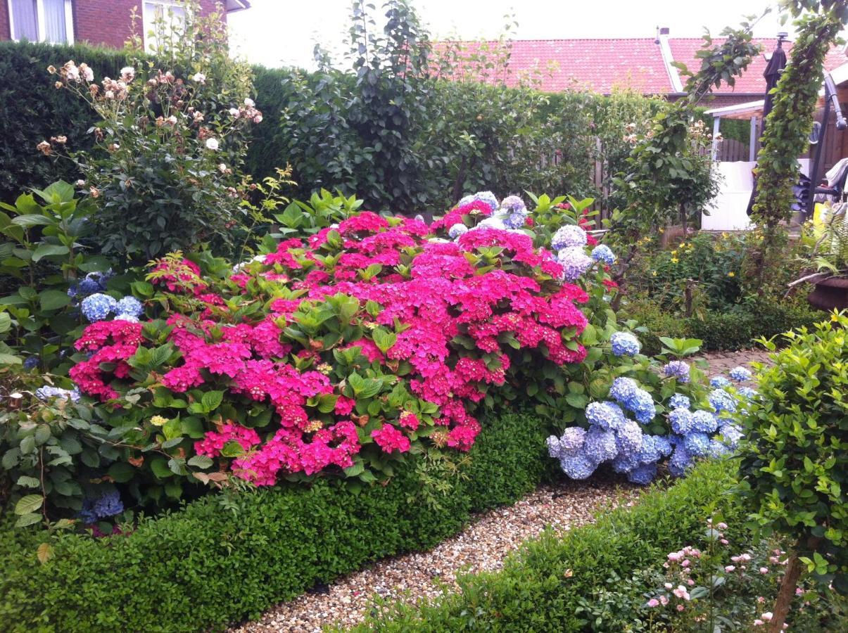 Chalet Or Apartment Nearby Roermond Outlet Stevensweert Εξωτερικό φωτογραφία