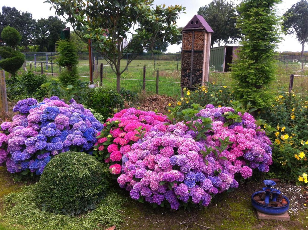 Chalet Or Apartment Nearby Roermond Outlet Stevensweert Εξωτερικό φωτογραφία